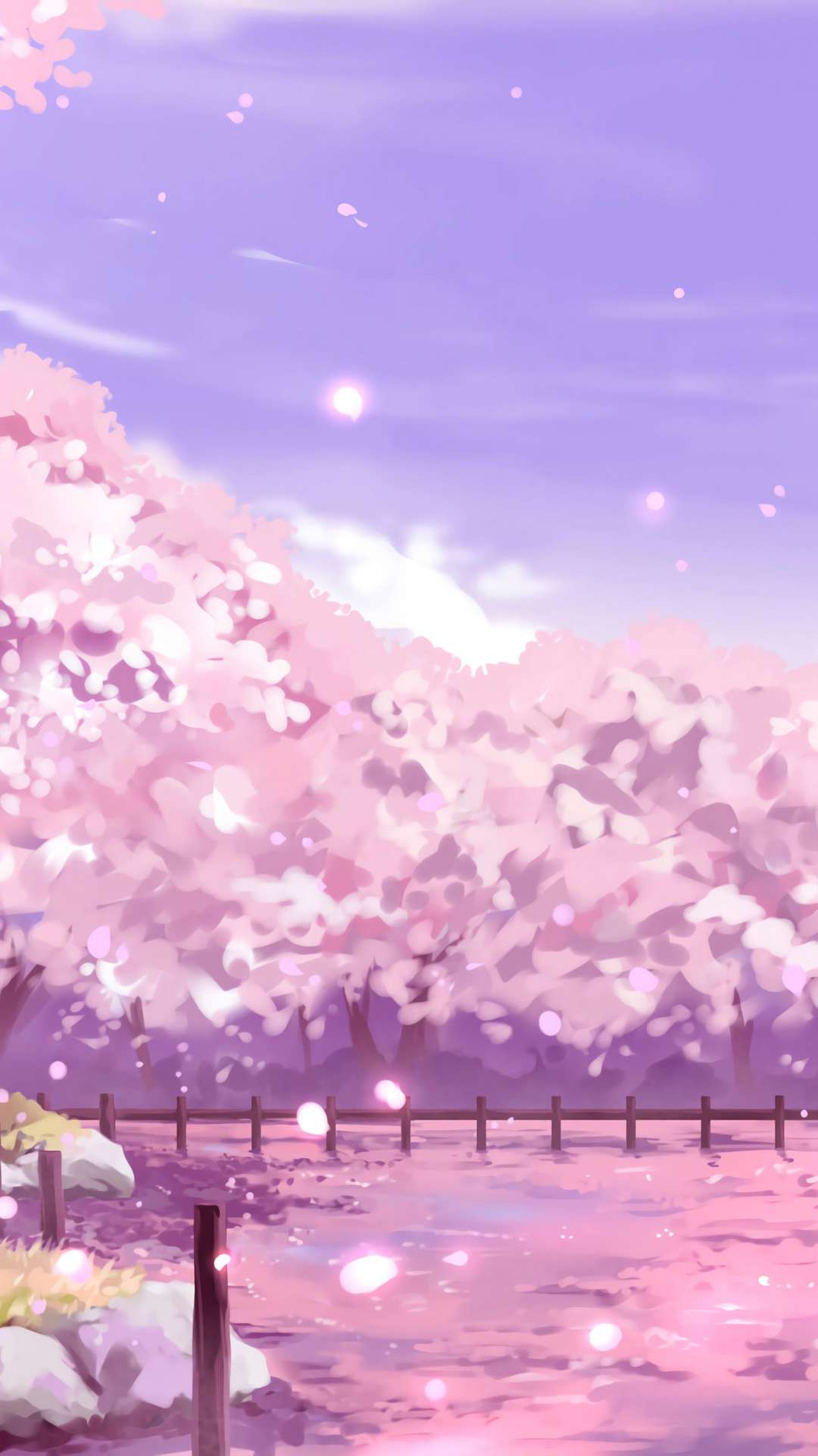 Anime Cherry Blossom 4K Wallpapers  Top Free Anime Cherry Blossom 4K  Backgrounds  WallpaperAccess