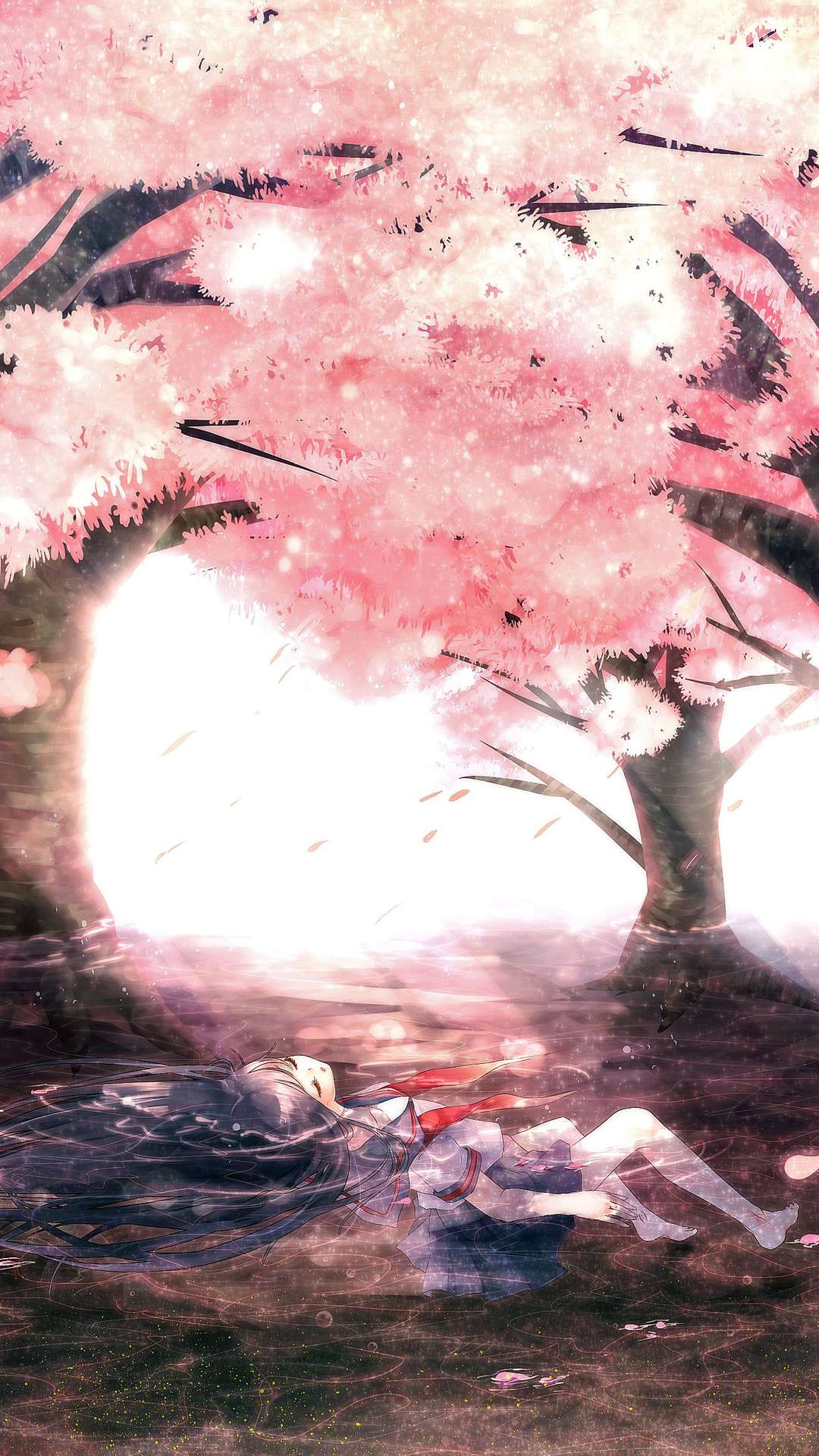 Fikran Hadinata - Cherry Blossom Tree