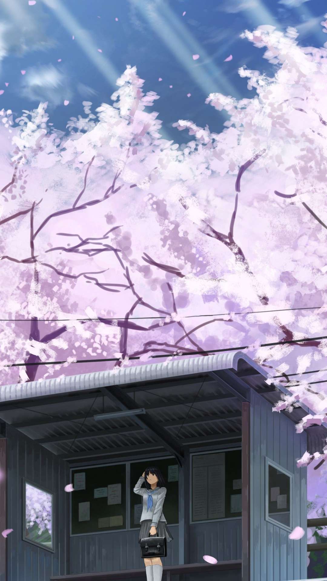 Koe No Katachi Flowers Anime Clouds Wallpaper  Resolution3840x2160   ID1272237  wallhacom