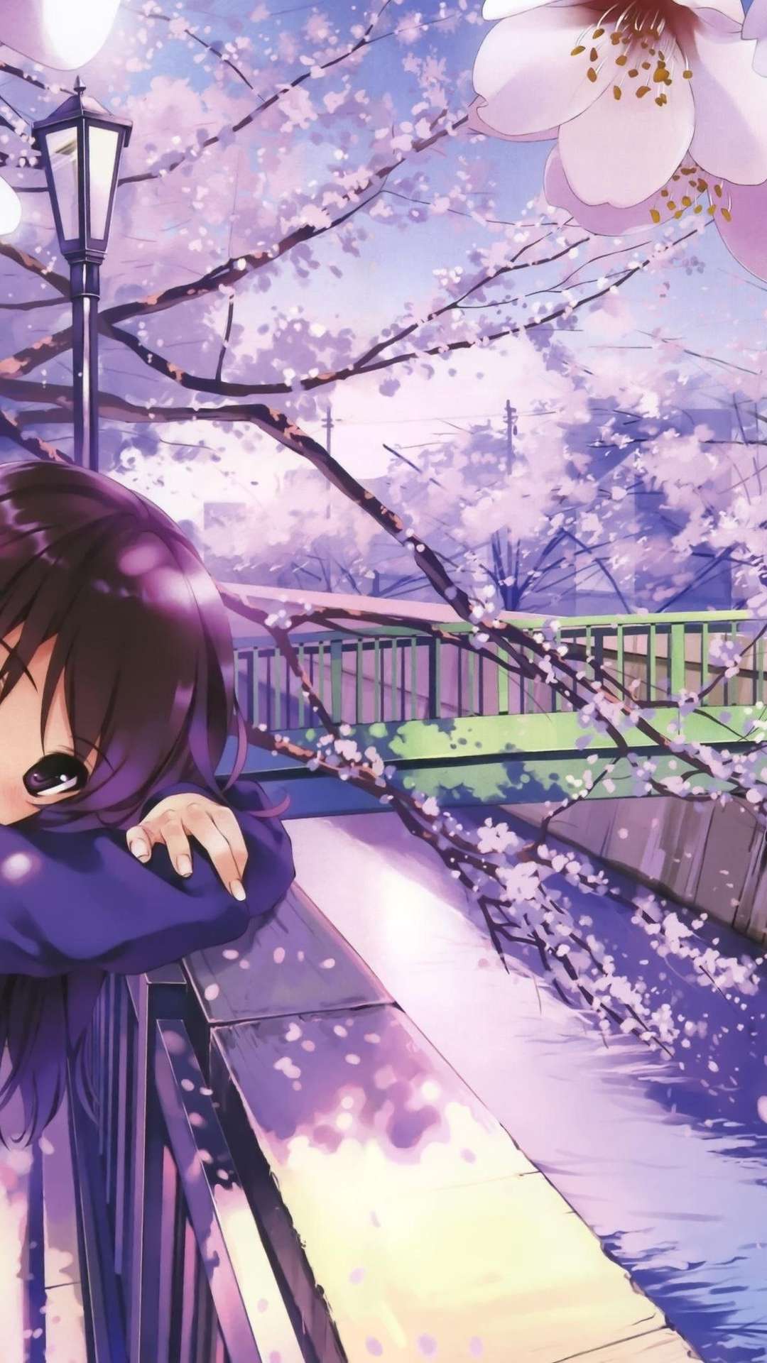 564050 1920x1080 Girl, Anime, Spring wallpaper PNG - Rare Gallery HD  Wallpapers