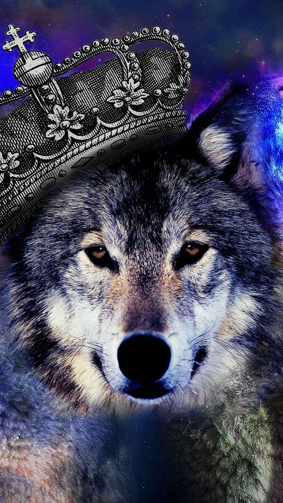 Cute Galaxy Wolf Wallpapers on WallpaperDog