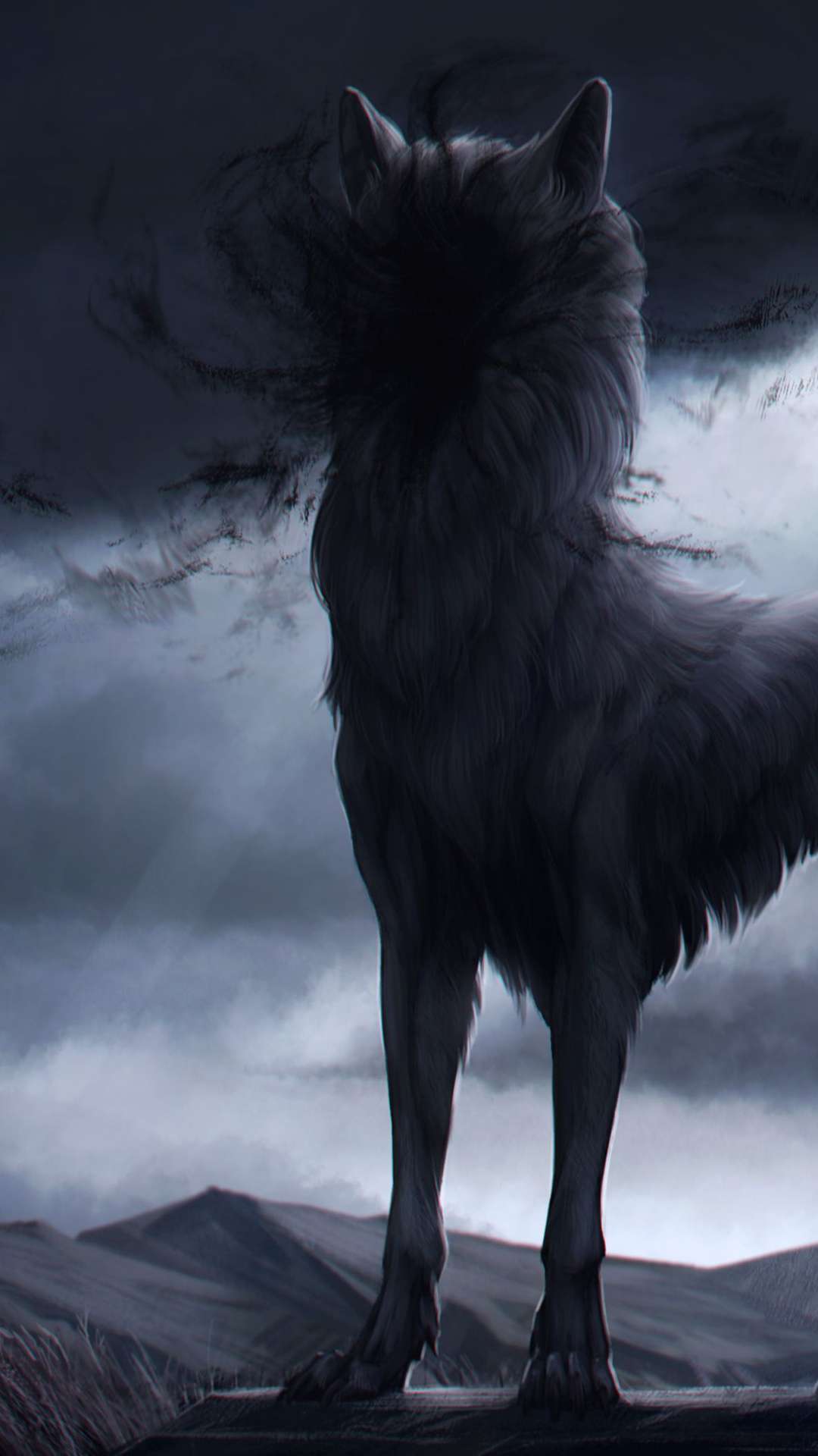 Anime baby wolf HD wallpapers  Pxfuel